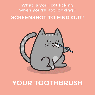 [Interactive] What's Your Cat Licking?