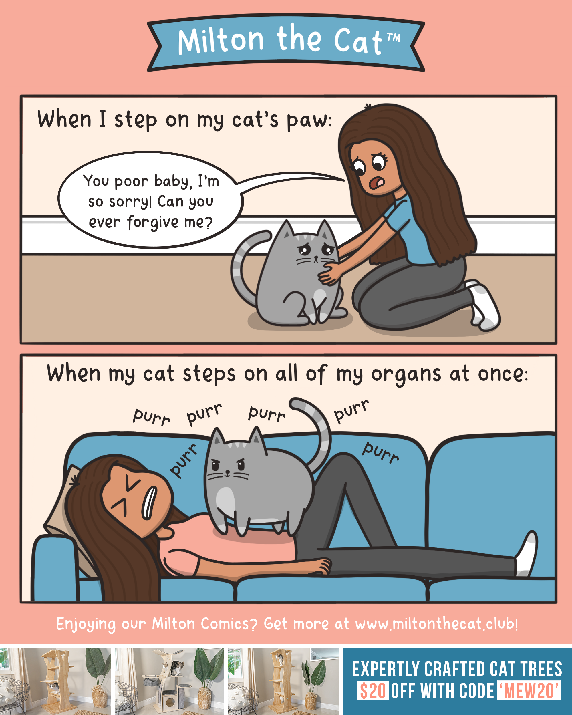 Stepped on my cat's paw discount