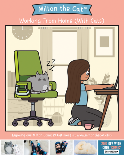 Working From Home (With Cats): Office Chair