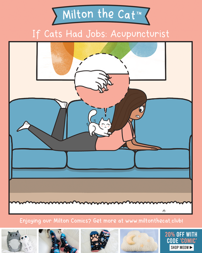 If Cats Had Jobs: Acupuncturist