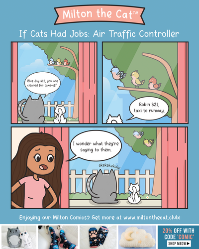 If Cats Had Jobs: Air Traffic Controller