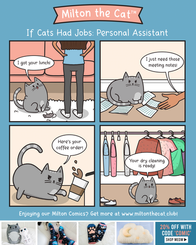 If Cats Had Jobs: Personal Assistant