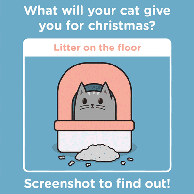 Interactive: What Will Your Cat Get You For Christrmas?
