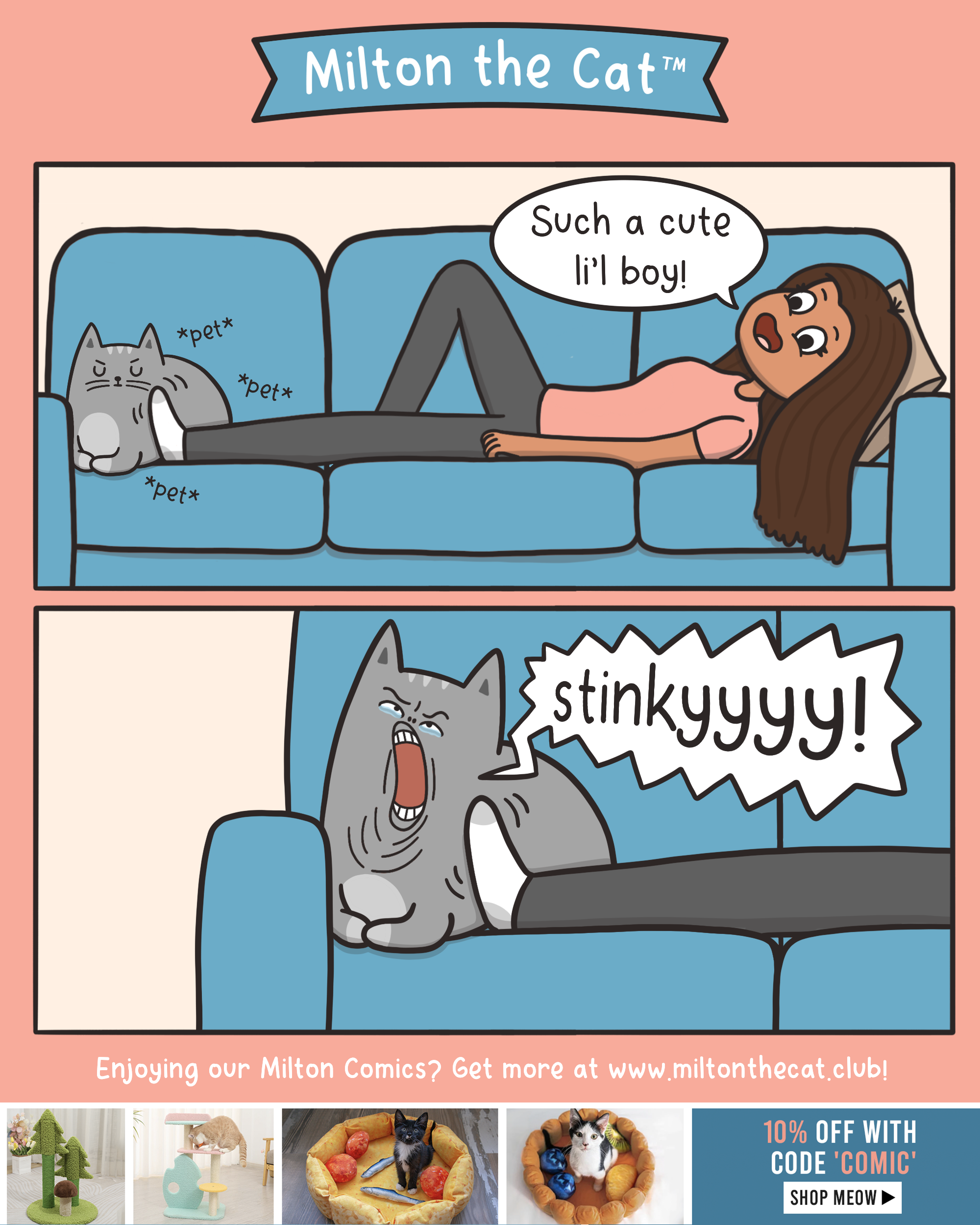 Flehmen response cat deals