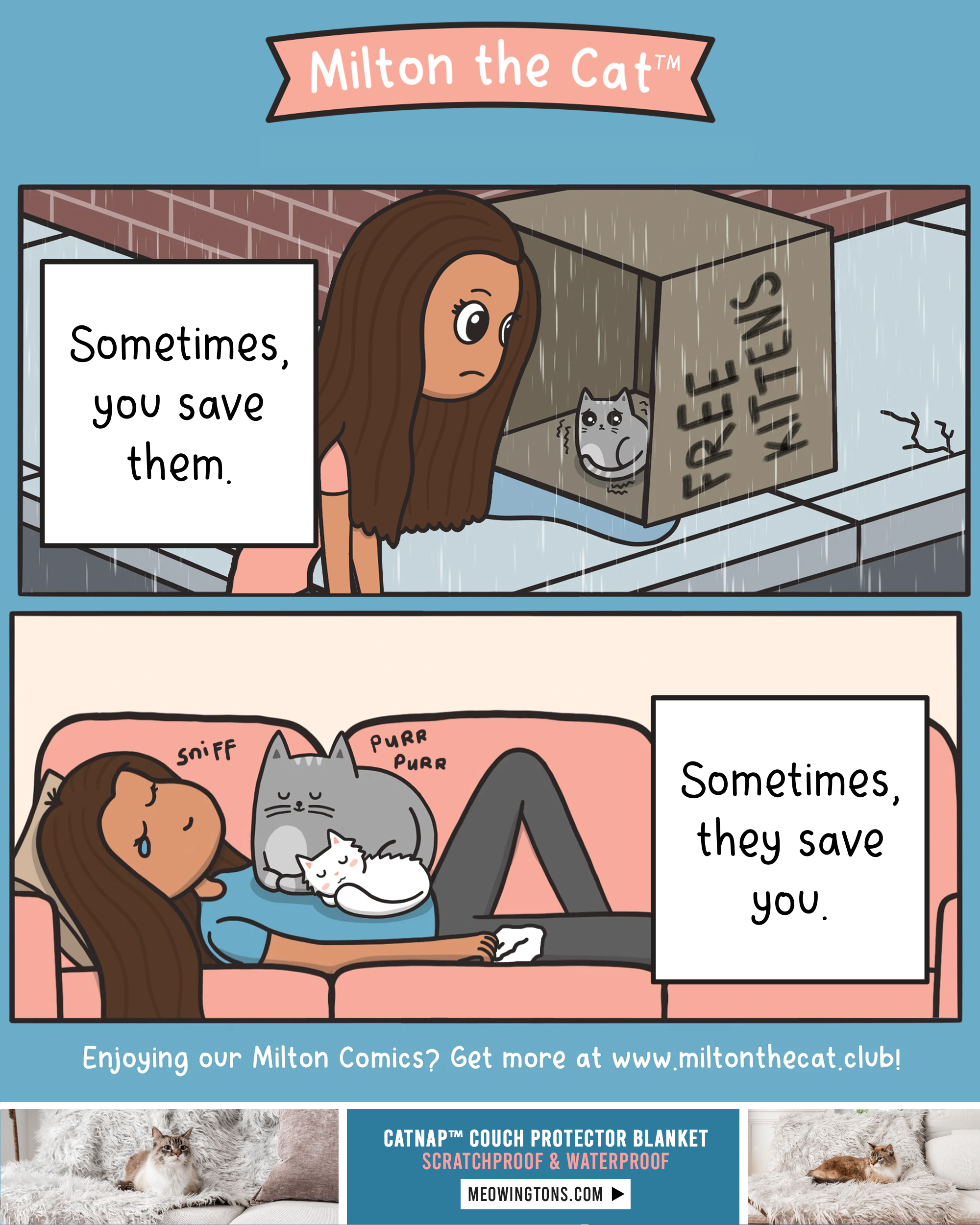 When someone asks why I love cats so much Meowingtons