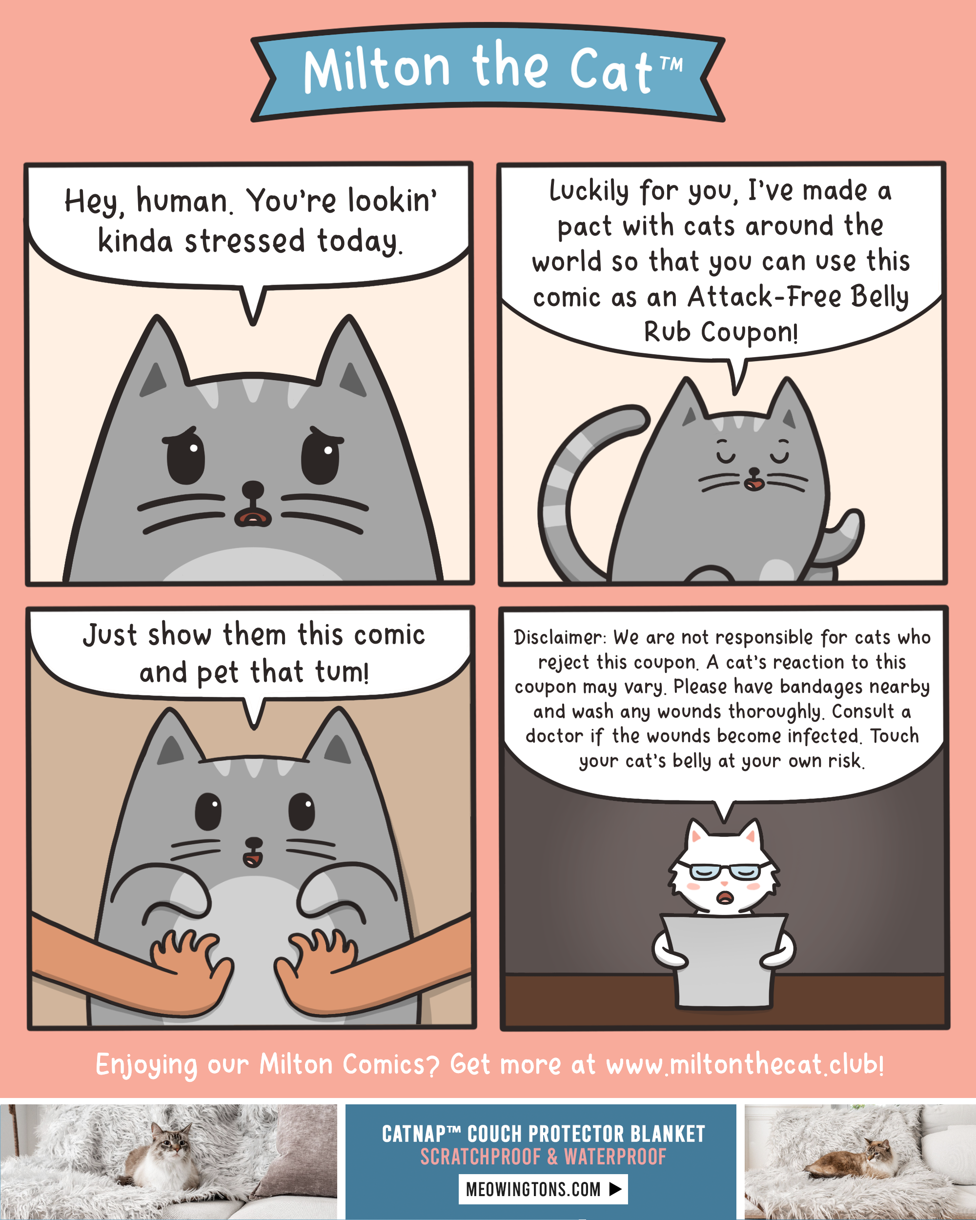 Feline Stressed? Not Today! Meowingtons