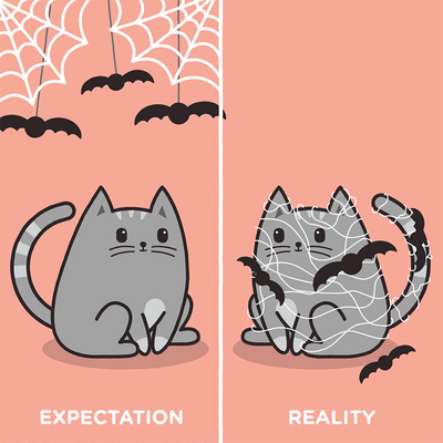 Halloween Decorations: Expectation VS Reality