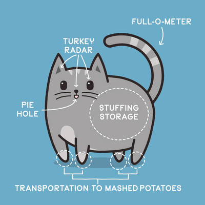 Cat Anatomy (Thanksgiving Edition)
