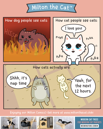 TBT: How People View Cats