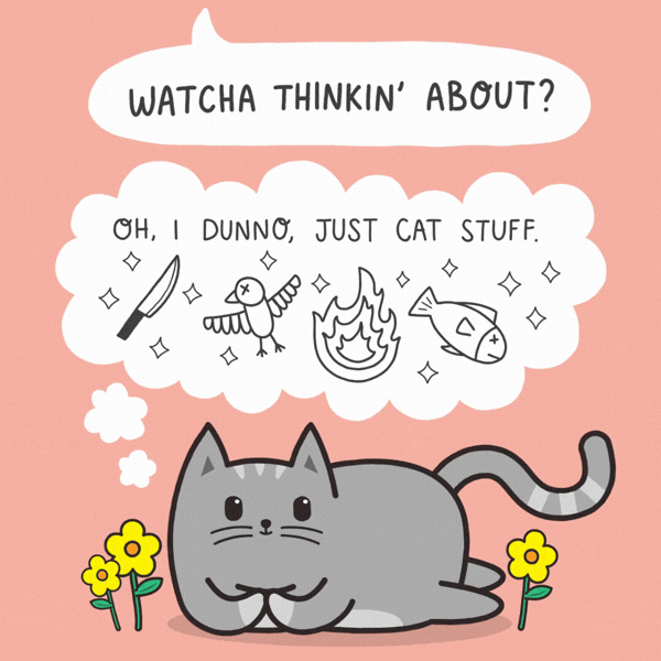 What Cats Think About