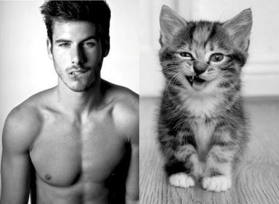 Gorgeous Men and Their Cat Lookalikes