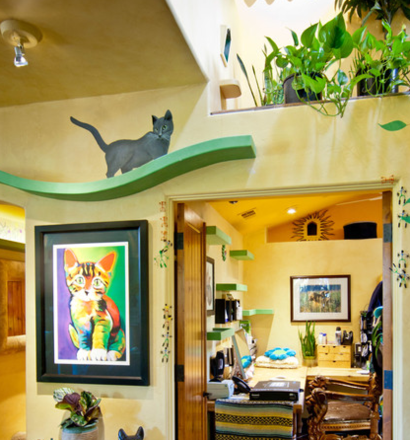 Indoor top cat playland