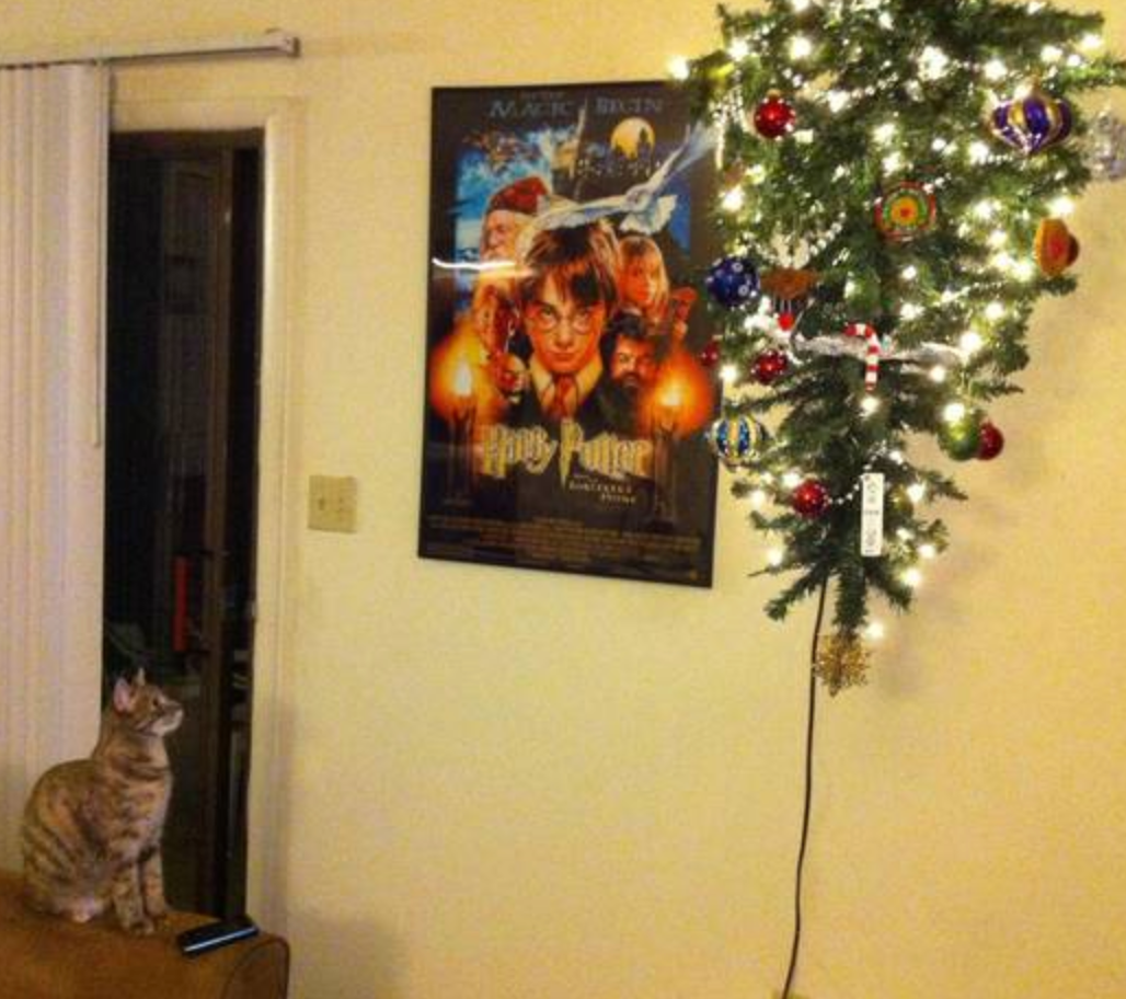 Anti cat christmas tree outlet
