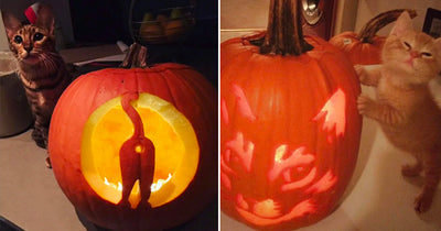 13 Cat-O-Lanterns to Inspire Your Pumpkin Carving This Halloween