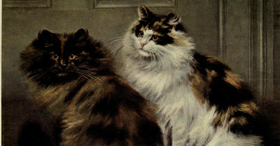 Fascinating Facts and Hiss-tory of Persian Cats