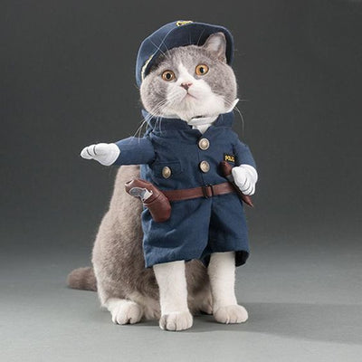 Halloween Cat Costumes That Everyone is Raving About.