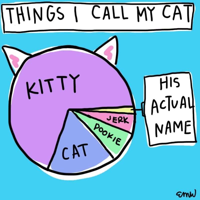 People On Twitter Shared How Their Pet’s Names Evolved And It’s Pretty