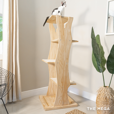 Black and white cat on a four-tiered cat wood cat tree shaped like a tree.