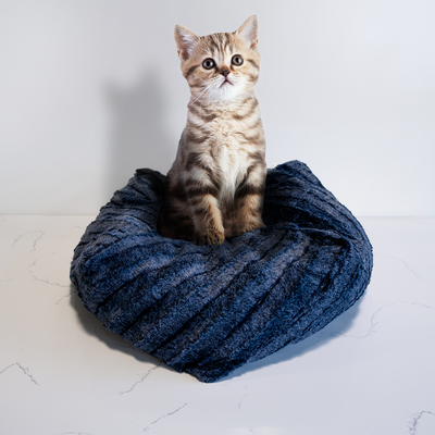 Tabby kitten sitting on a navy blue plush faux fur cat bed.