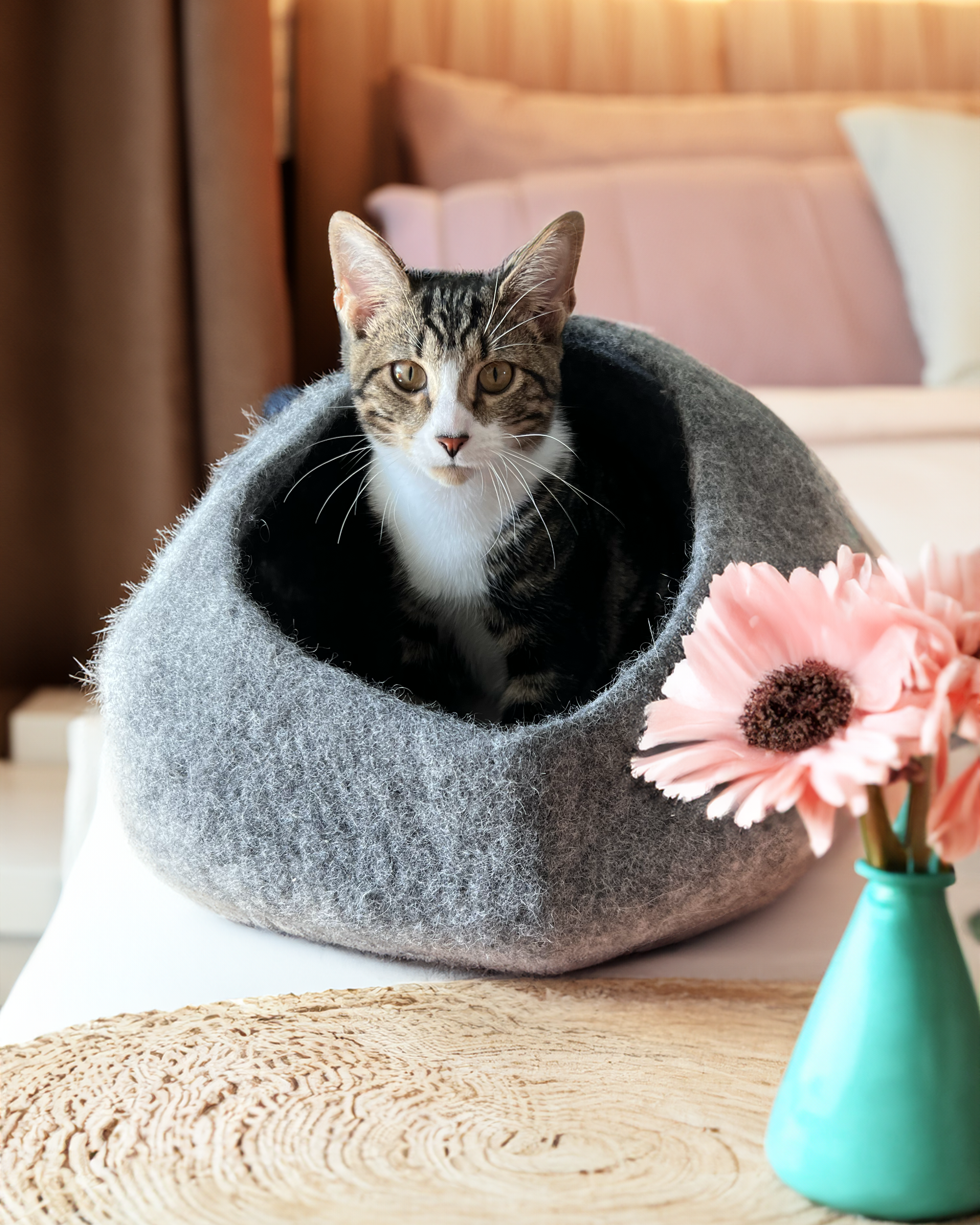 Cat cave bed deals
