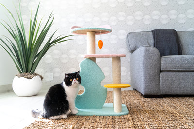 A black and white british shorthair cat on a tiered pastel cat scratching post.