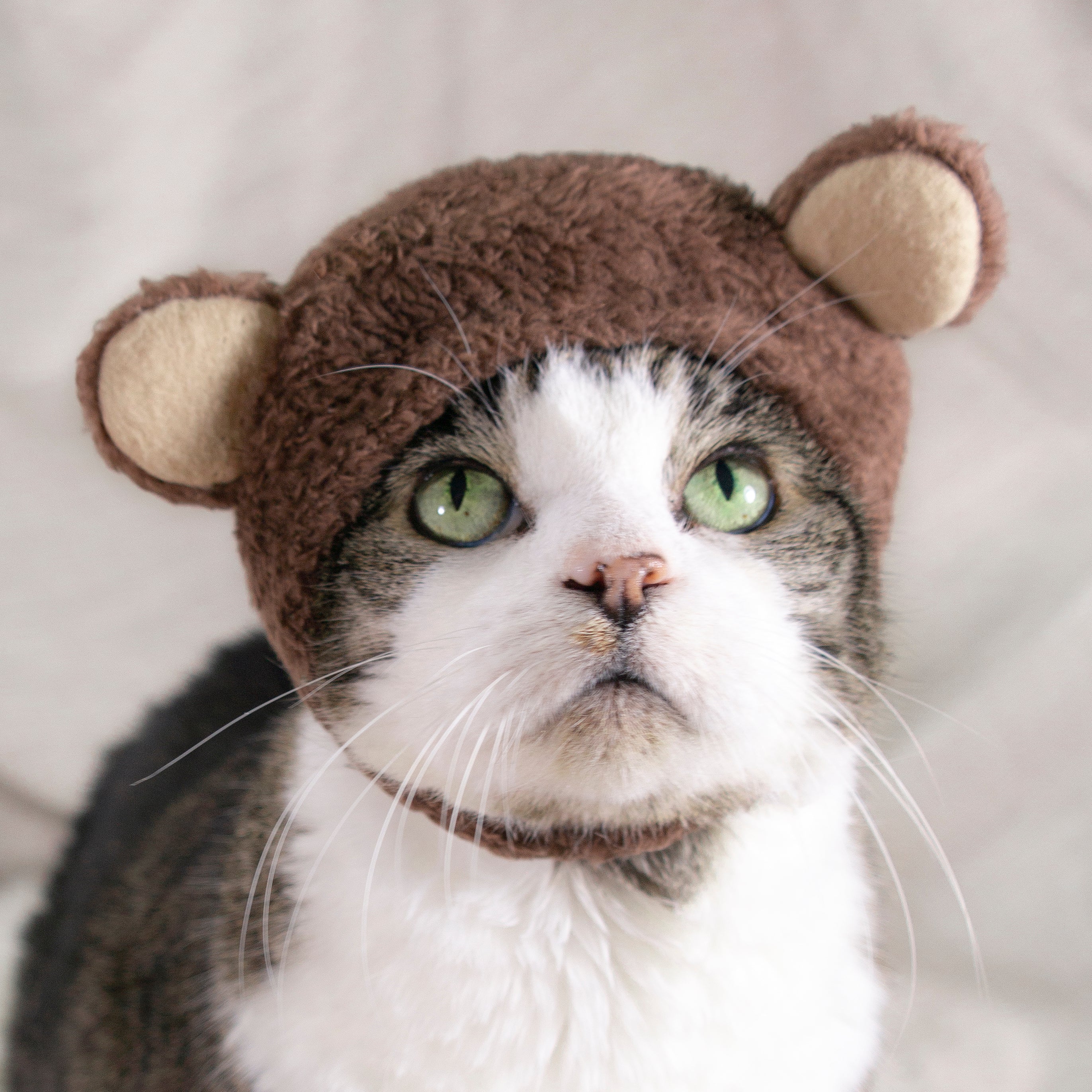 Cat Costume Hat Cute Frog Knitting Wool Cat Hat Pet Costume Hat for Holiday  