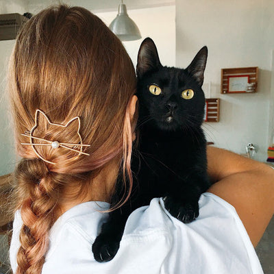 Miguel | Adopted!
