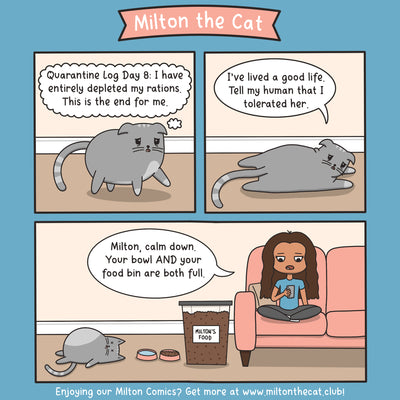 Quarantine Log: Day 8