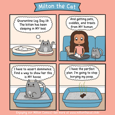 Quarantine Log: Day 19