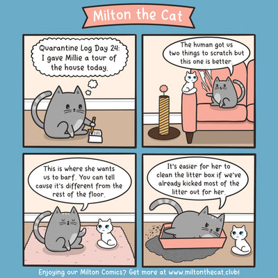 Quarantine Log: Day 24