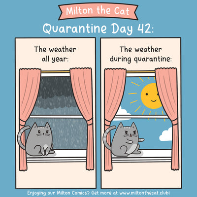 Quarantine Log: Day 42