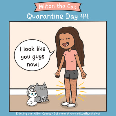 Quarantine Log: Day 44