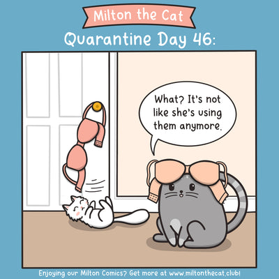 Quarantine Log: Day 46