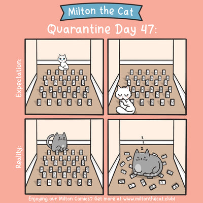 Quarantine Log: Day 47
