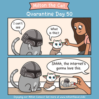 Quarantine Log, Day 50: May the 4th Be With Mew