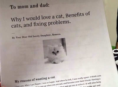 11-year-old Girl Writes 6-page Report to Convince Parents to Adopt a Cat