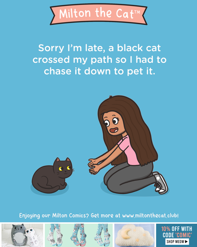 Happy National Black Cat Day!