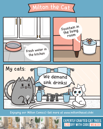 A Savory Sip From the Sink
