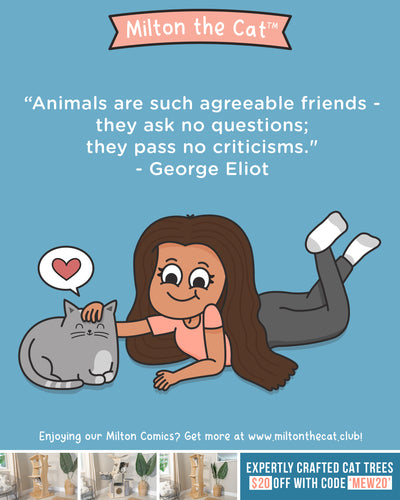 Wednesday Wisdom: Animals Are Agreeable Friends