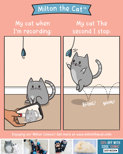 Just Messing With Us