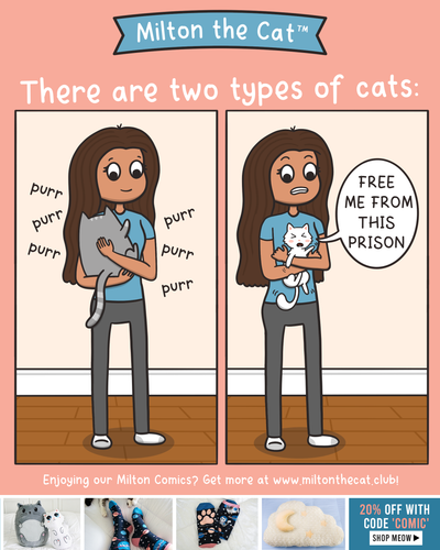 Happy Hug Your Cat Day!