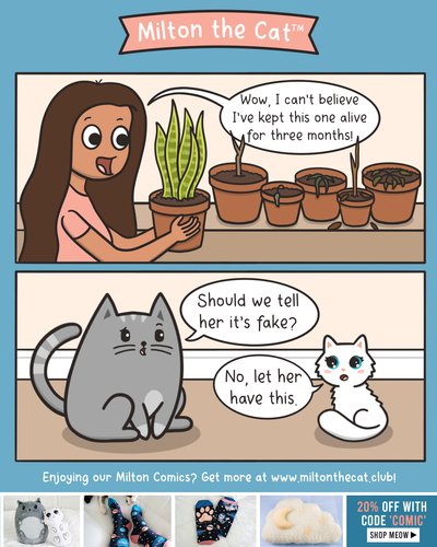 Plant Mom Struggles