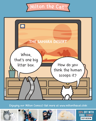The World's Largest Litter Box