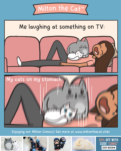 #TBT: Making a 4DX TV experience for cats