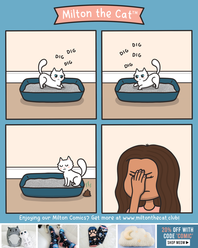 So Close Yet Still So Far