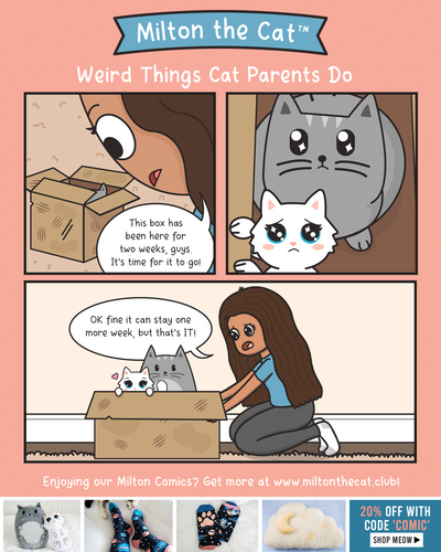 Weird Things Cat Parents Do: Boxes Are Your New Decor