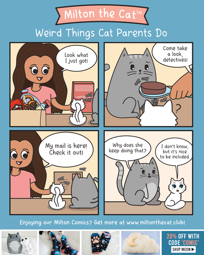 Weird Things Cat Parents Do: Include Your Kitties