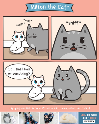 The Flehmen Response