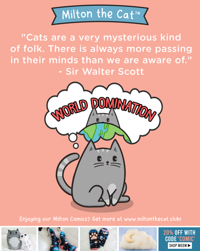 Wednesday Wisdom: Cats Are a Mysterious Kind of Folk