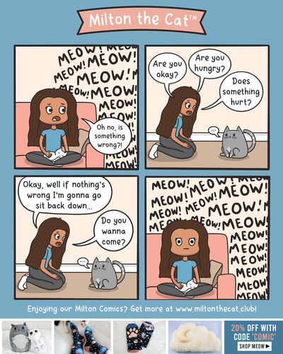 #TBT: Why Is He Meowing? Wrong Answers Only